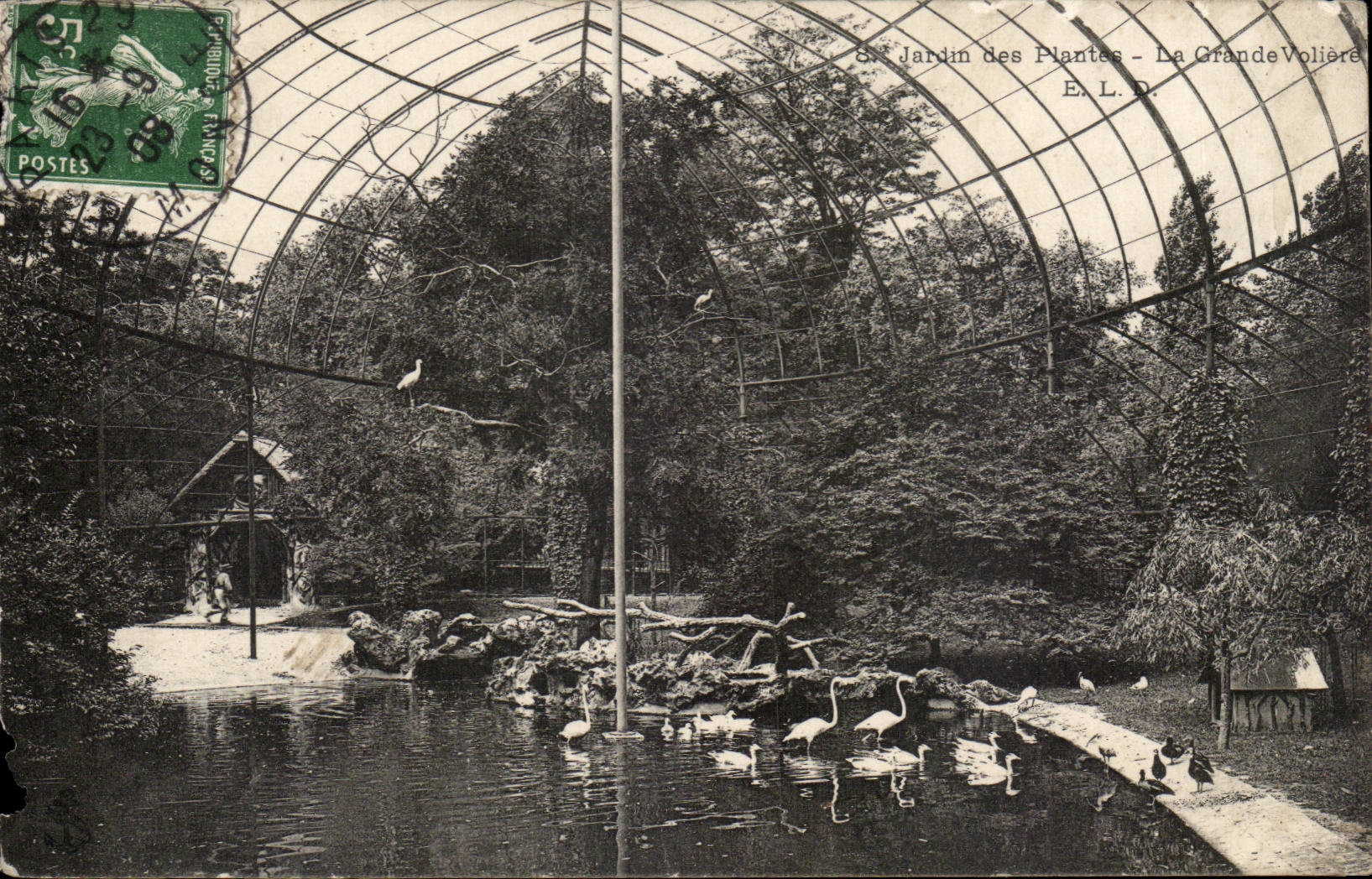 Paris - 5 - Jardin des Plantes - La Grand Voliere - Oiseaux - Birds CPA 