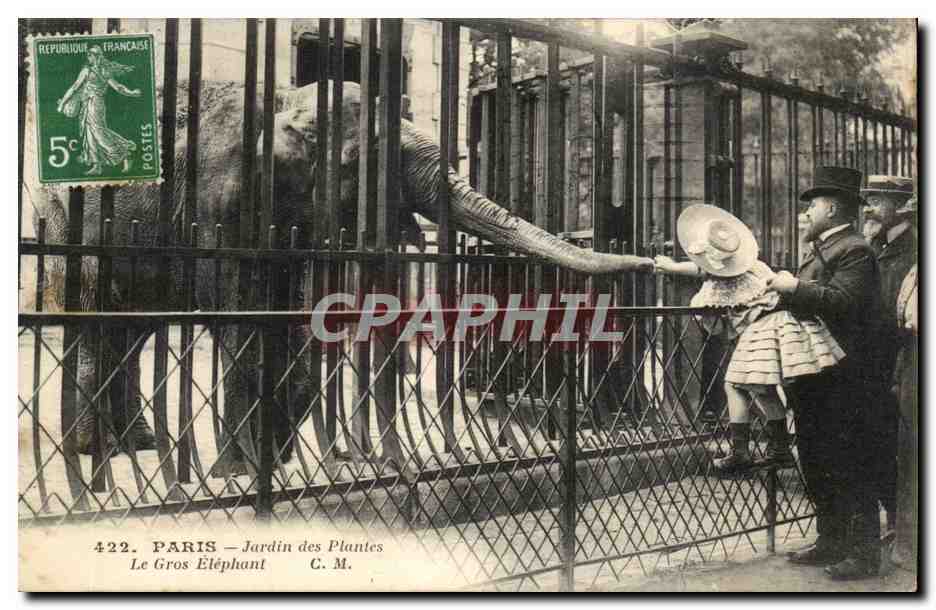 PARIS — Jardin des Plantes — De Grote Olifant — C. M. — n° 422