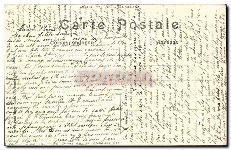 Paris - 5 - Jardin des Plantes - Chien des Alpes - St Bernard - dog - CPA  — Rückseite