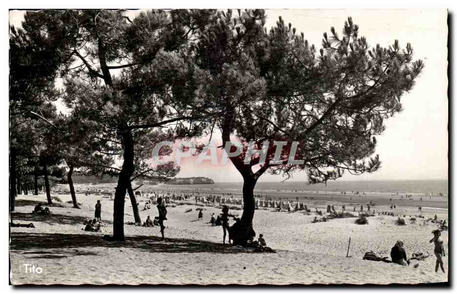 Plage de Saint-Georges-de-Didonne — vue sous les pins — Tito
