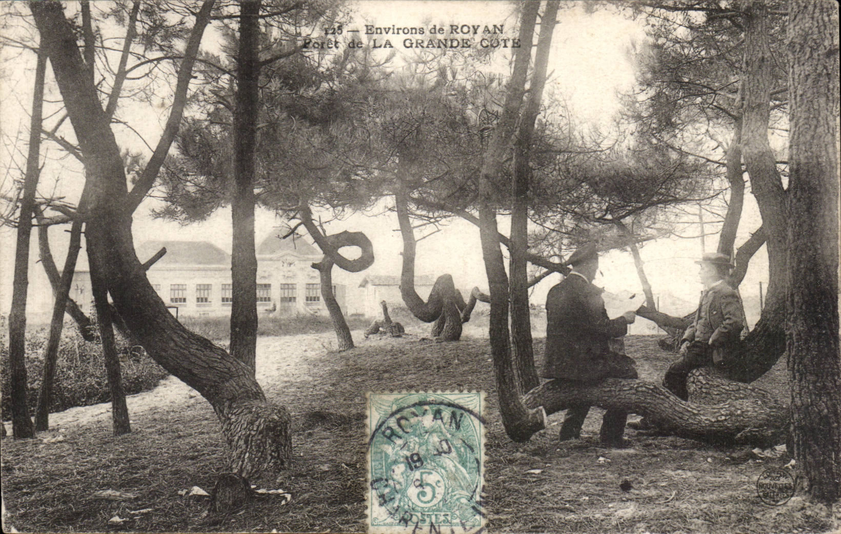 Environs de Royan CPA Foret de la grande cote