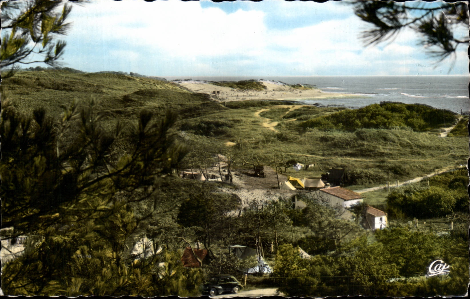 Vue générale des Dunes — St-Pierre-d'Oléron — éditeur Real-Photo