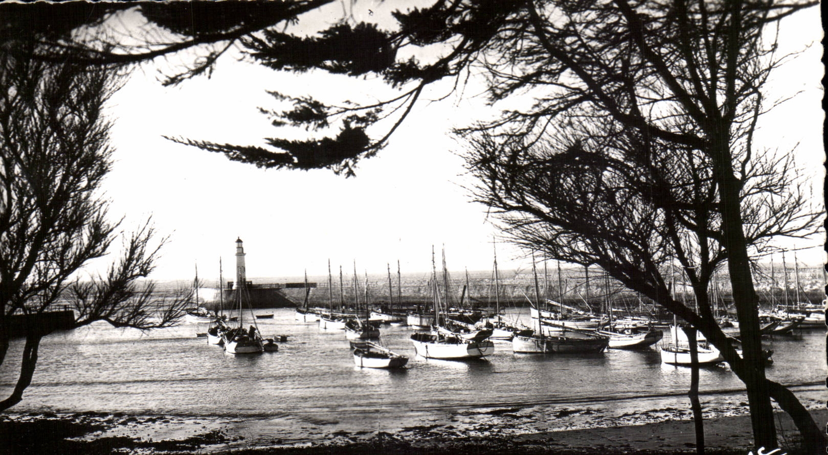 Port de l'Île d'Oléron — vue du phare et des voiliers — édition Georges d'Oléron