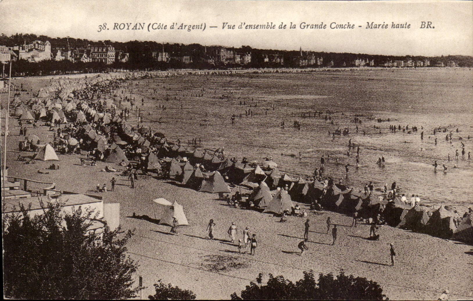 Royan - Vue d'ensemble de la Grande Conche - Maree Haute - CPA 