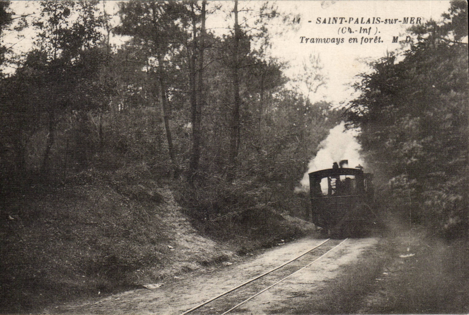 Saint-Palais-sur-Mer — Tramways en forêt — M.D.