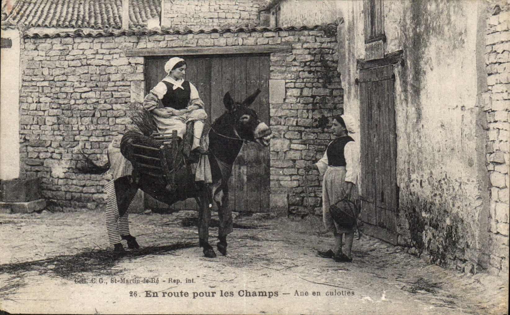 CPA Charente En route pour les champs (ane donkey mule) Ane en culottes