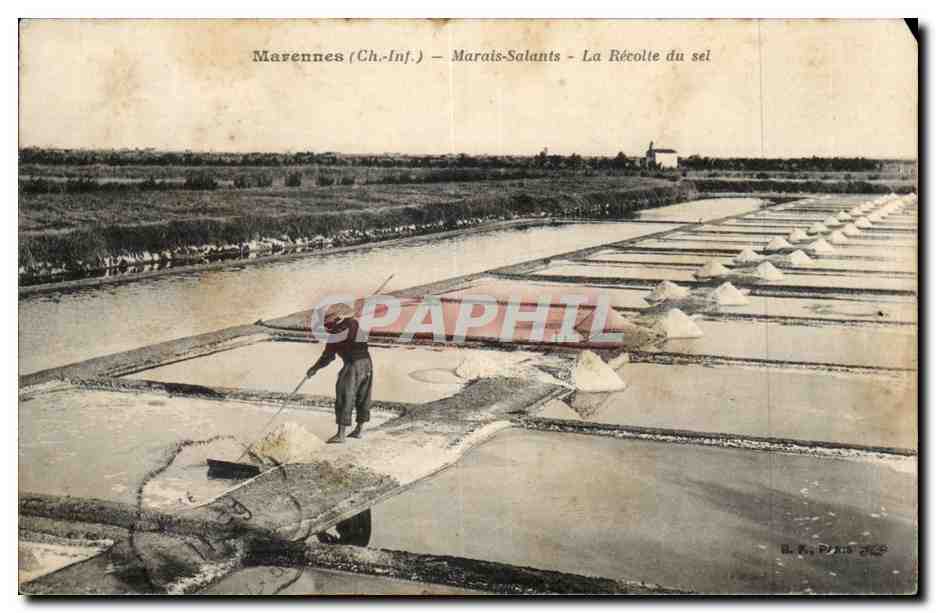 Marennnes (Ch.-Inf.) – Marais-Salants – La Récolte du sel