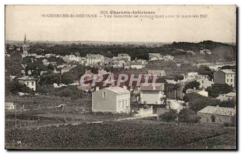 Saint Georges de Didonne CPA Vue generale 
