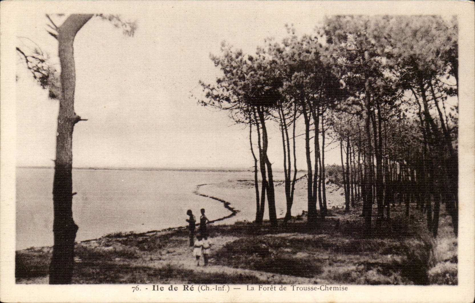 CPA Ile de Re La foret de Trousse Chemise