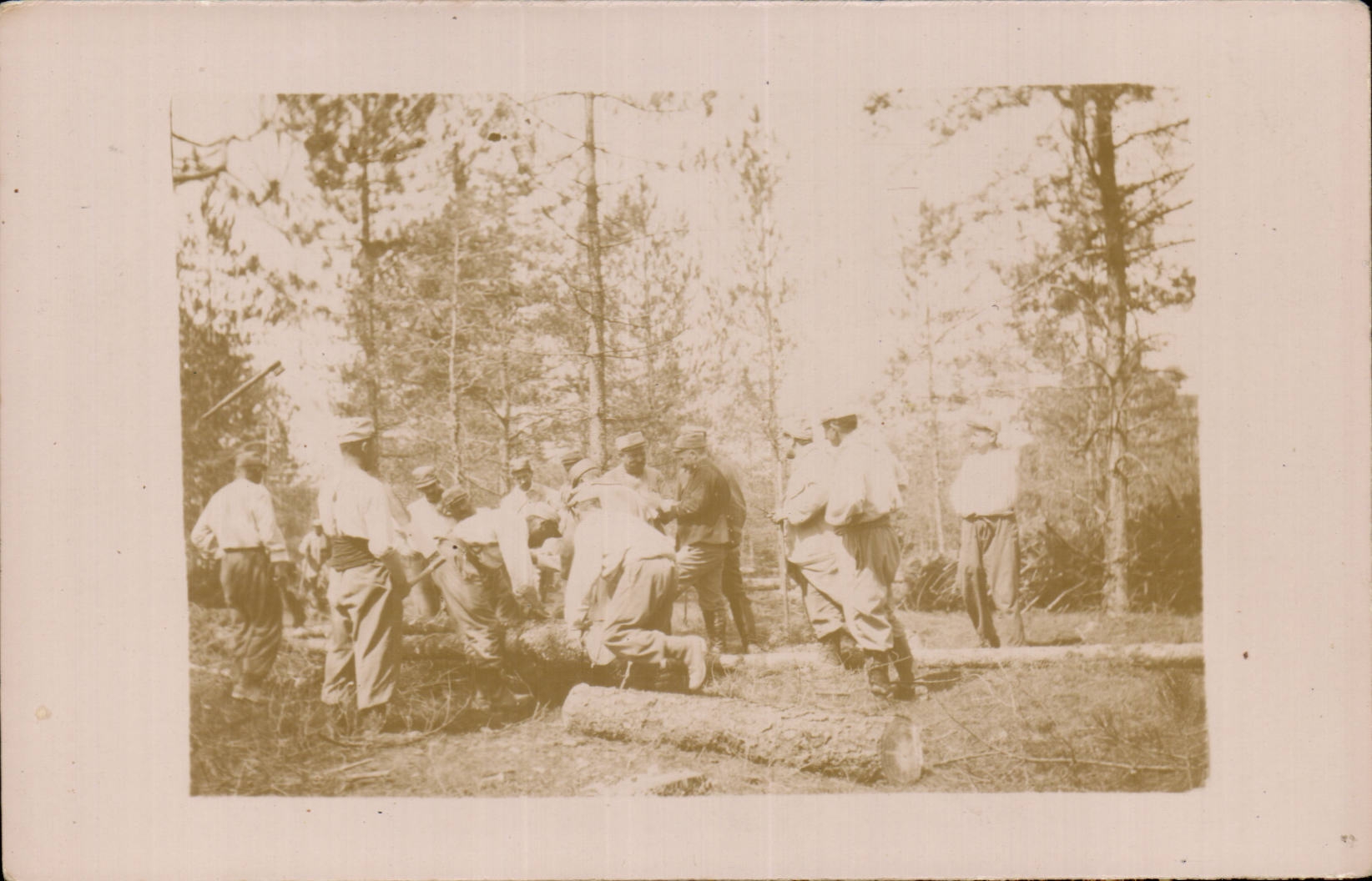 CPA Militaria Soldats au travail du bois (bucheron)