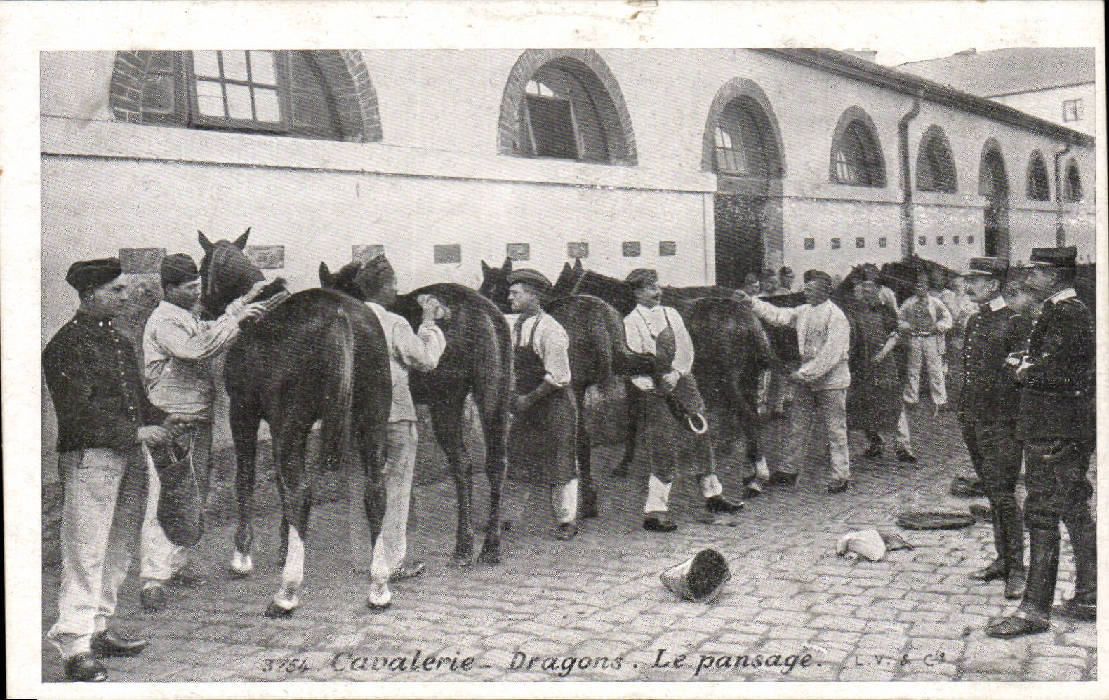 CPA Militaria Cavalerie Dragons Le pansage (chevaux cheval)