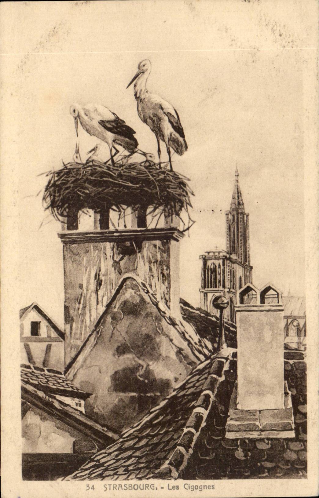Strasbourg — Les Cigognes — Éditeur Alsy & Cie, n°34