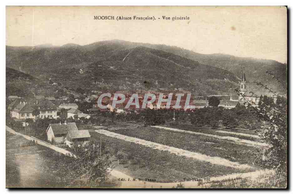 Moosch (Alsace Française) — Vue générale — Edit. J. M. Thane, N° 846