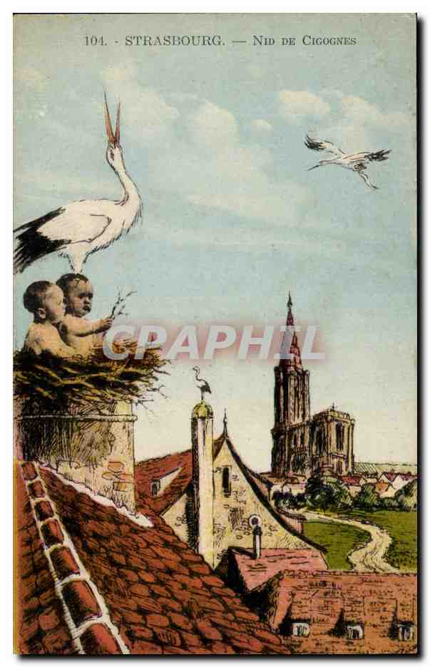 Stasbourg - Strassburg - Nid de Cigognes - bebes - CPA 