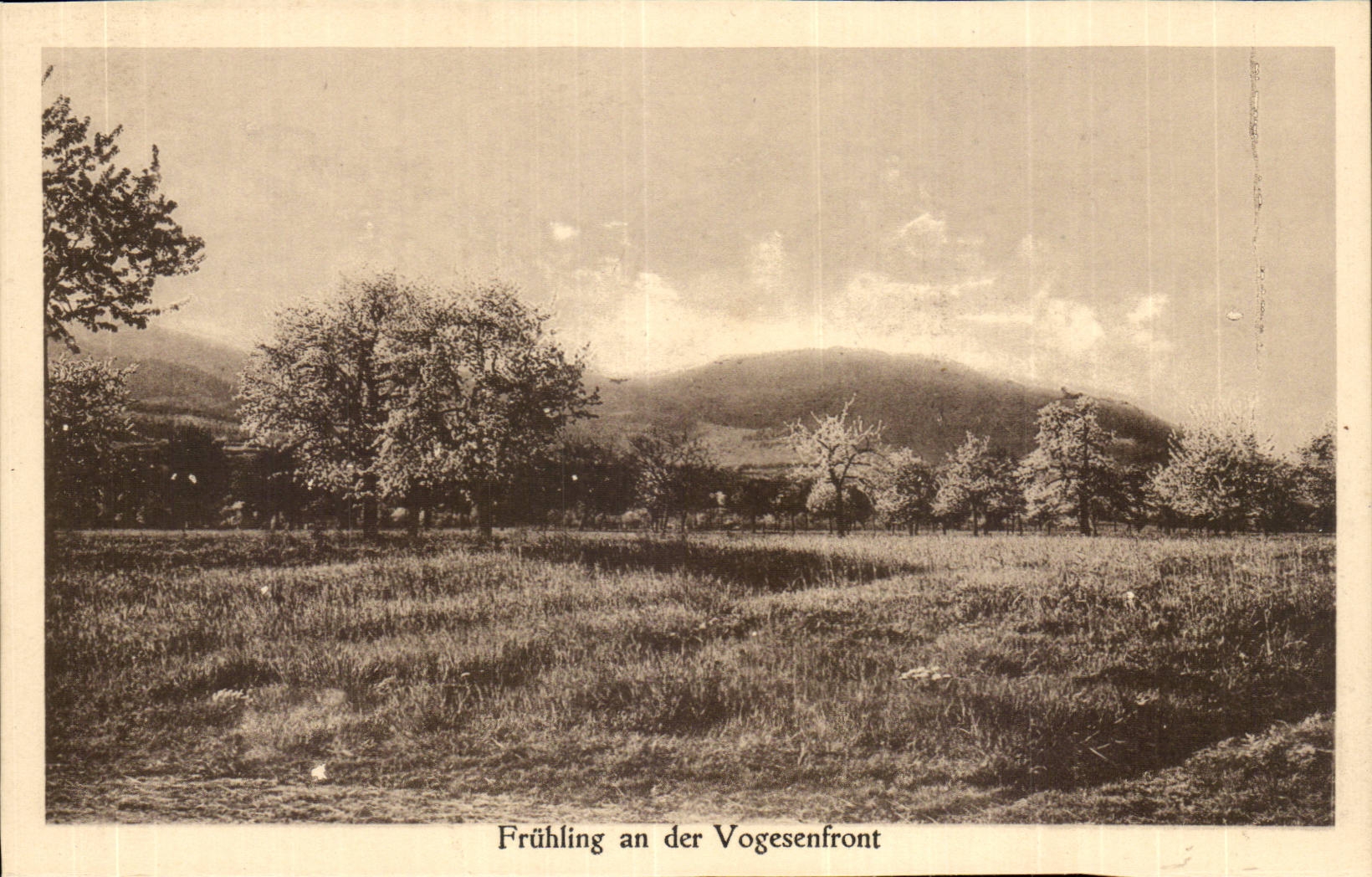 Frühling an der Vogesenfront — Frühling-Postkarte aus der Elsass — herausgegeben von A. II. A. Dreyfus, Milhausen