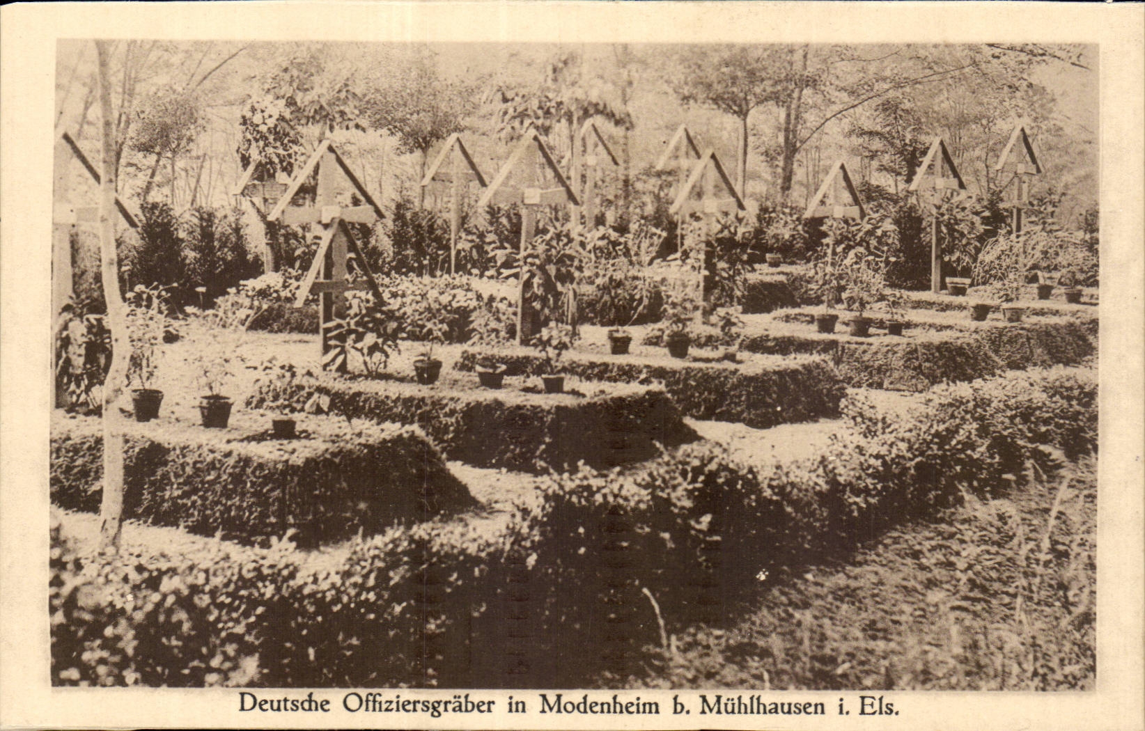 Deutsche Offiziersgräber in Modenheim b. Mühlhausen i. Els. — Kriegs-Erinnerungskarte — Verlag Warenhaus A. Dreyfus, Nr. 2773