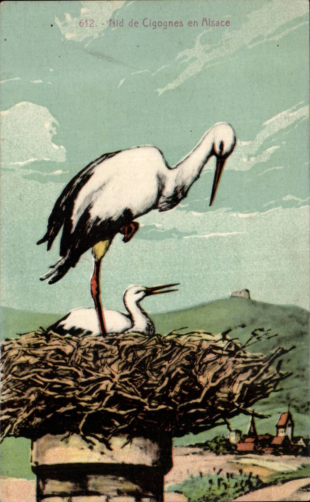 Animal - Oiseaux - Nid de Cigogne en Alsace CPA 
