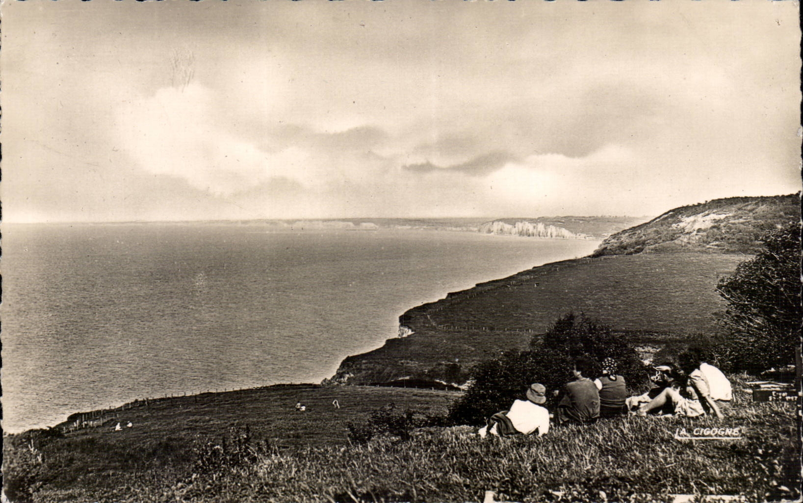 Varengeville sur Mer - Vue Generale sur les Falaises CPA 