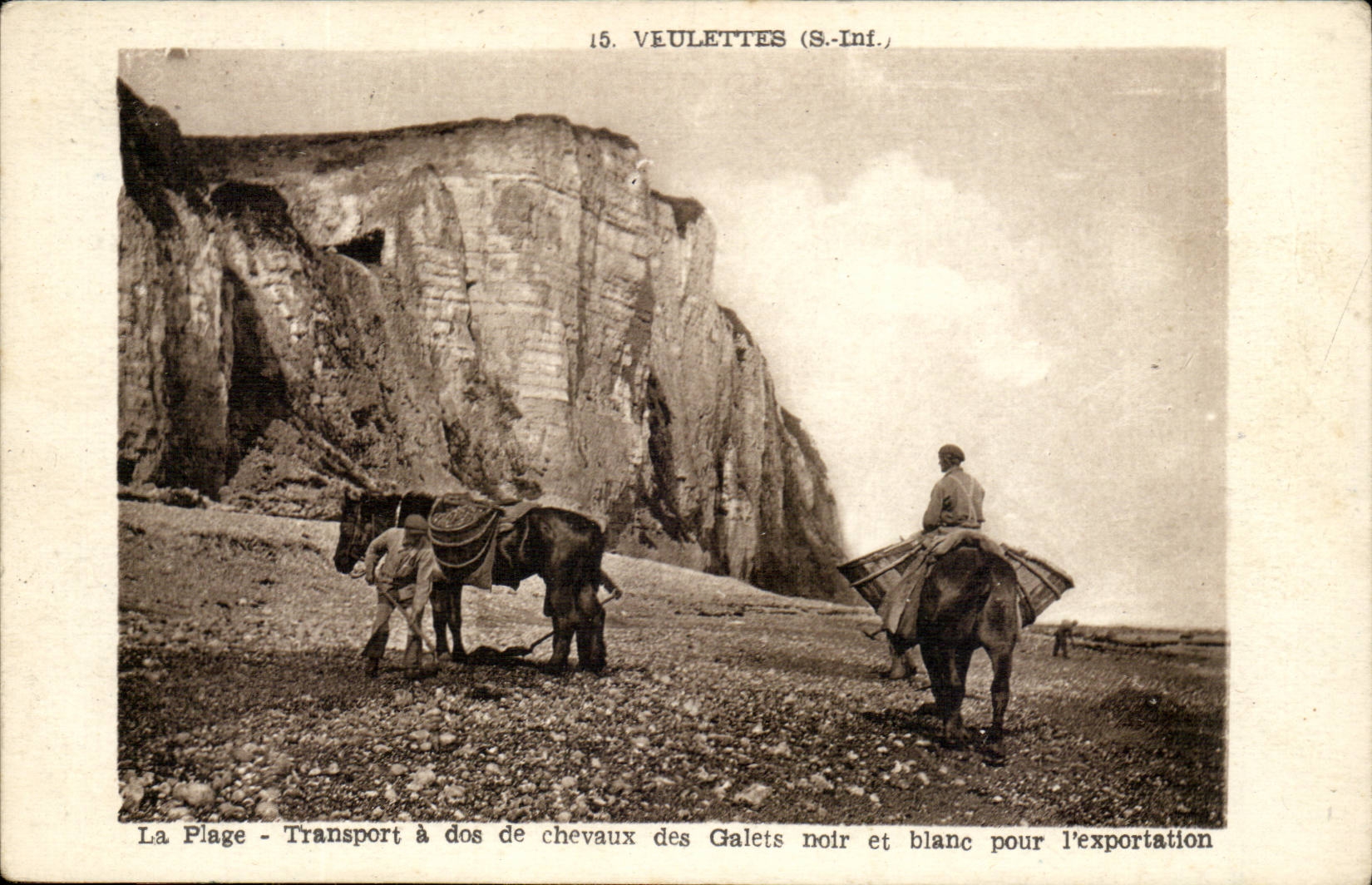 Veulettes - La Plage - Transport a dos de chevaux des Galets noir et blanc-por l'exportation CPA 
