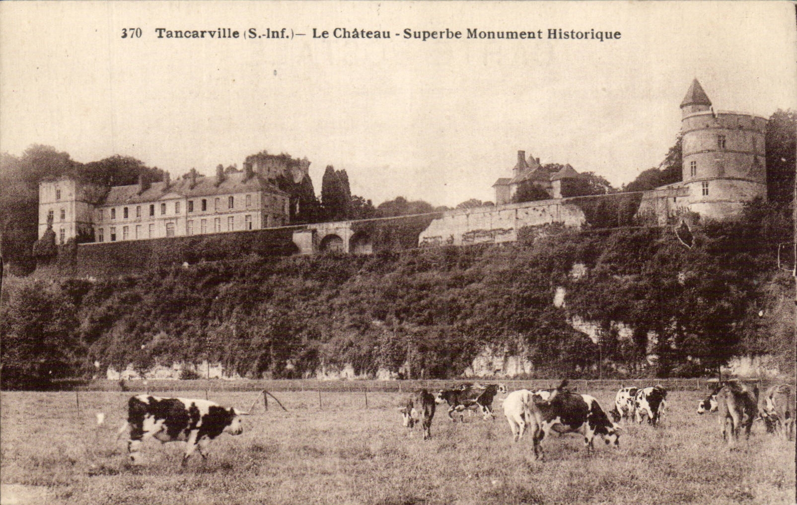 Tancarville - Le Chateau - Superbe Monument Historique - CPA Vaches