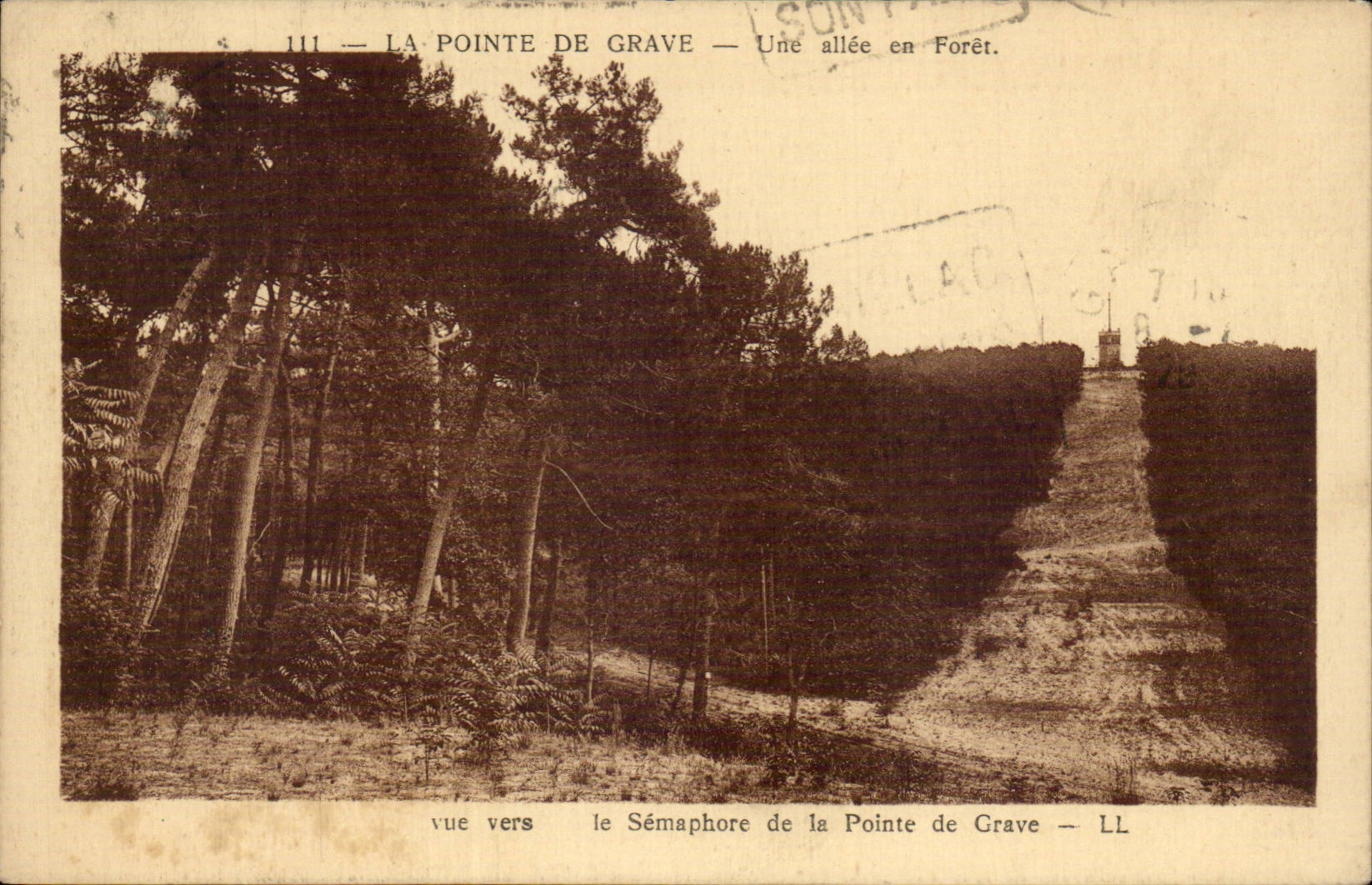 Pointe du Grave CPA Une allee en foret Vue vers le semaphore
