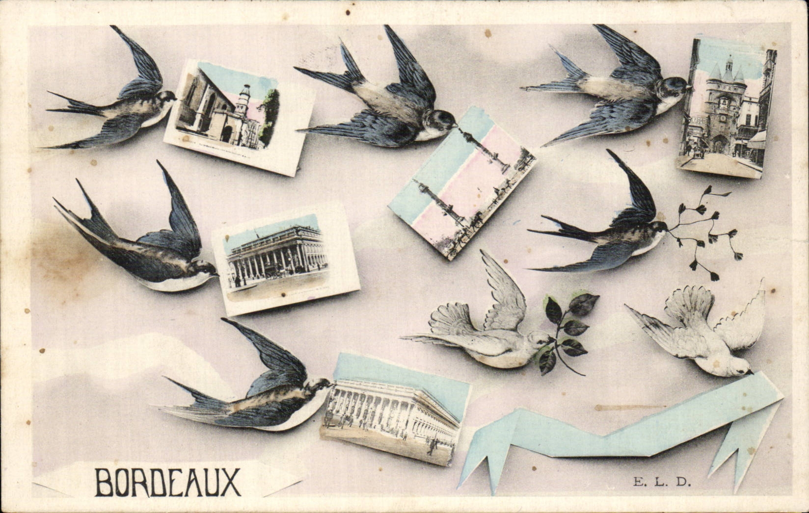 Bordeaux CPA Hirondelles