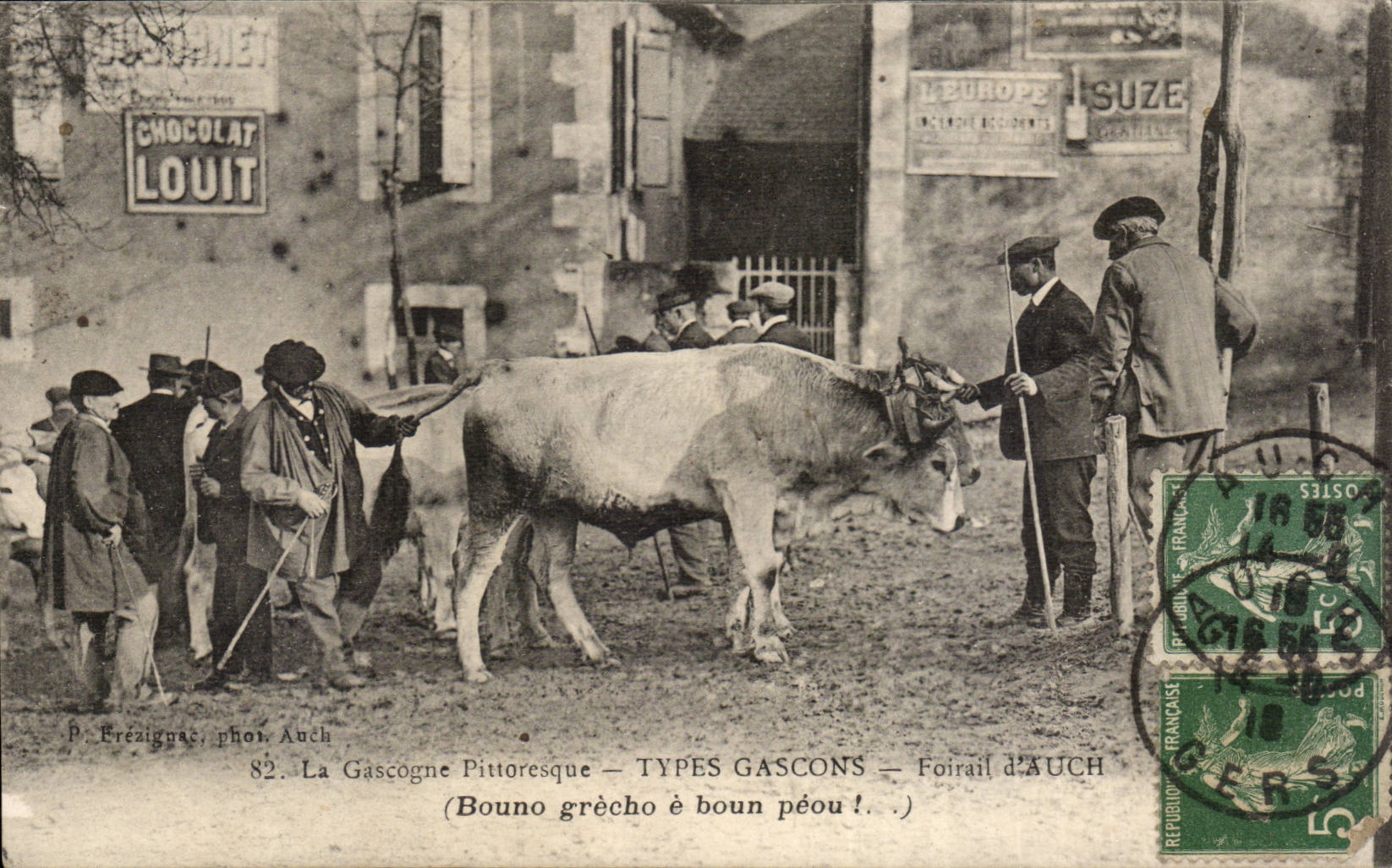 Gascogne CPA Types gascons Foiral d'Auch (boeufs elevage) TOP
