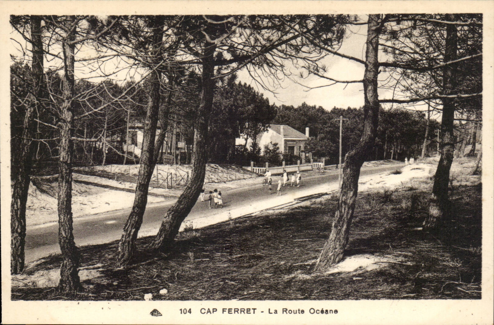 Le Cap Ferret CPA La route oceane
