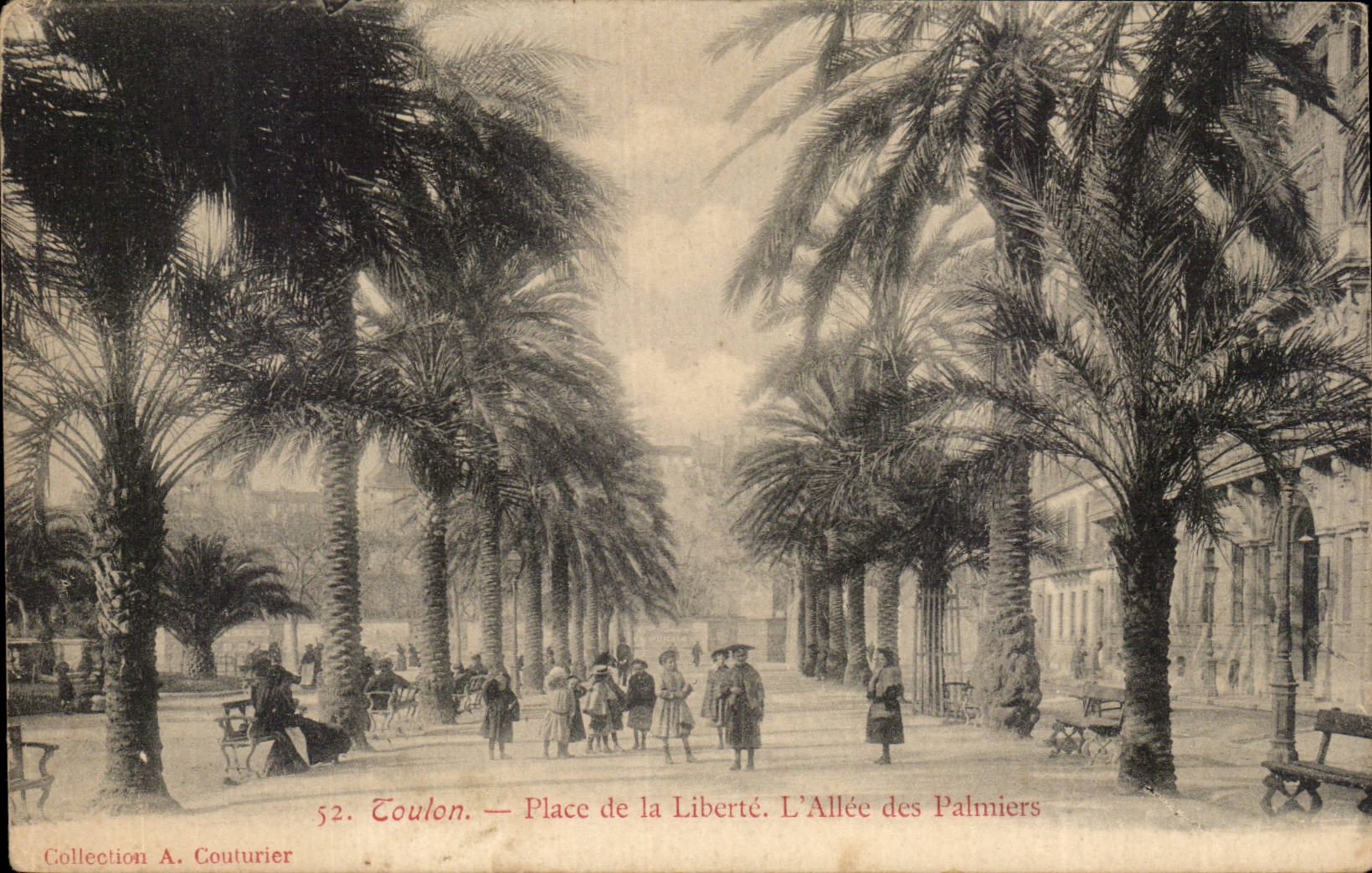 Toulon — Place de la Liberté. L'Allée des Palmiers — Collection A. Couturier, n°52