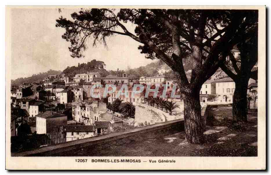 Bormes les Mimosas CPA Vue generale