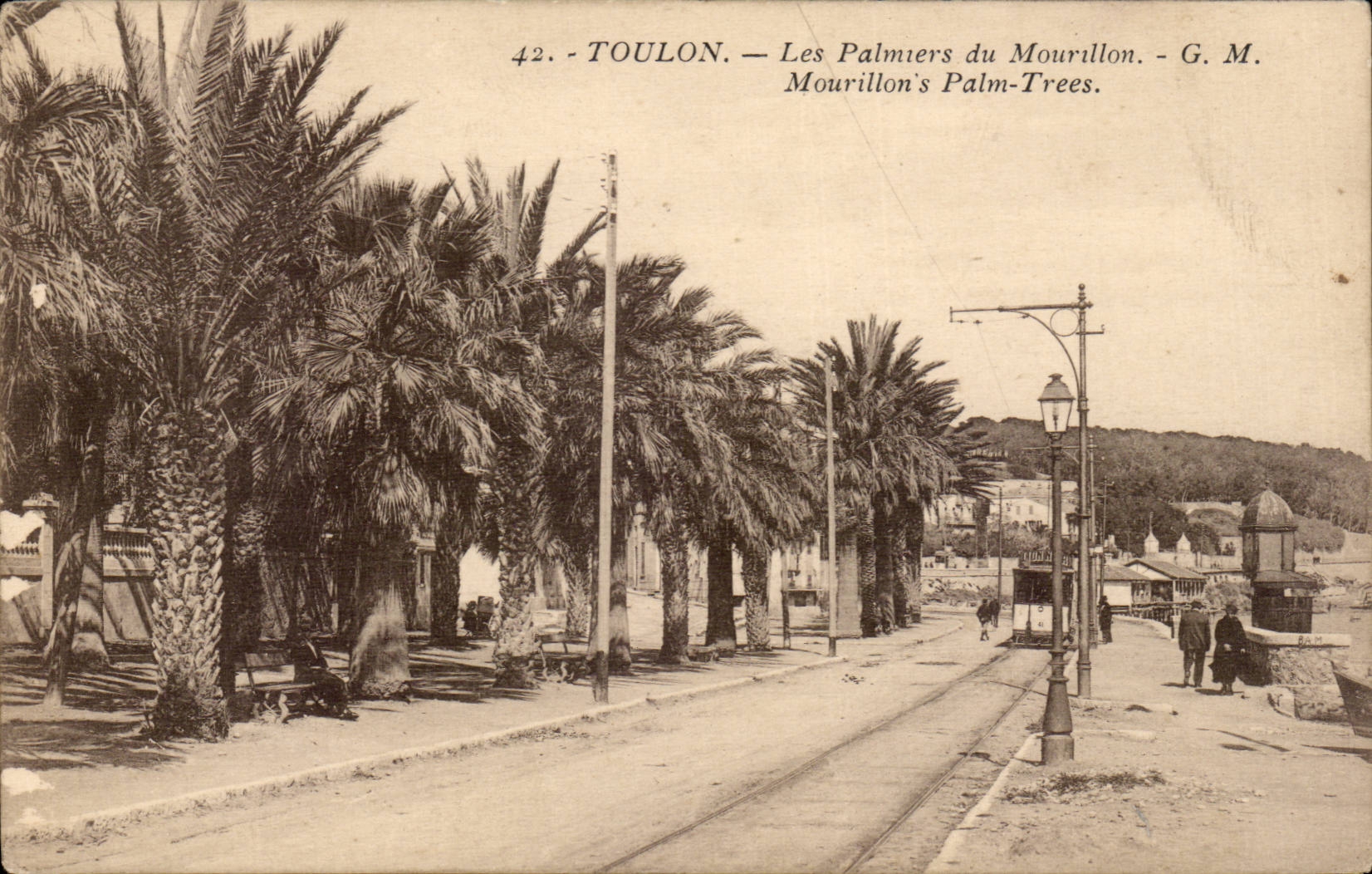 Toulon — Les Palmiers du Mourillon — G. M.