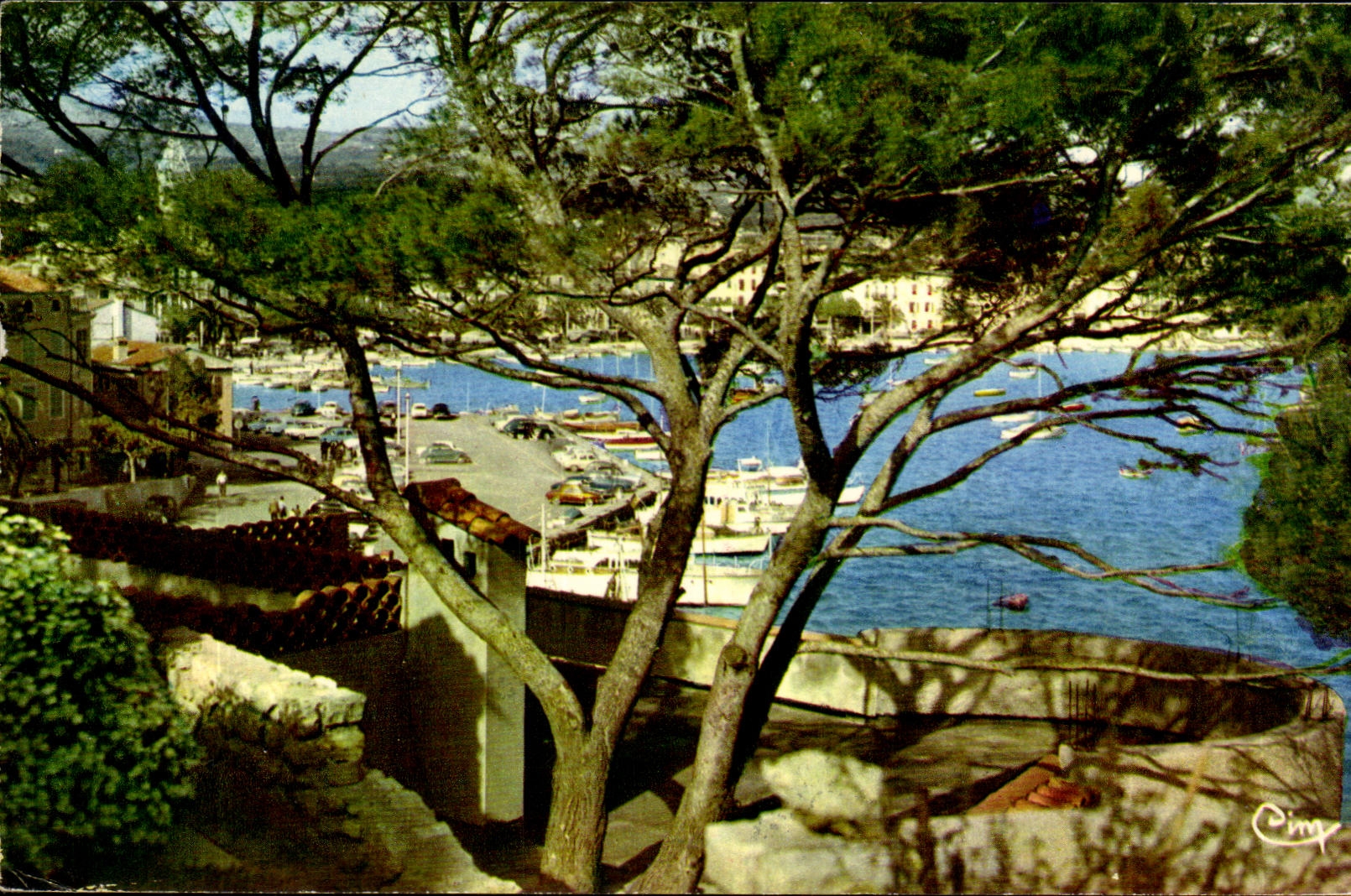Sanary sur Mer CPA A l'abri sous les pins Regards vers le port