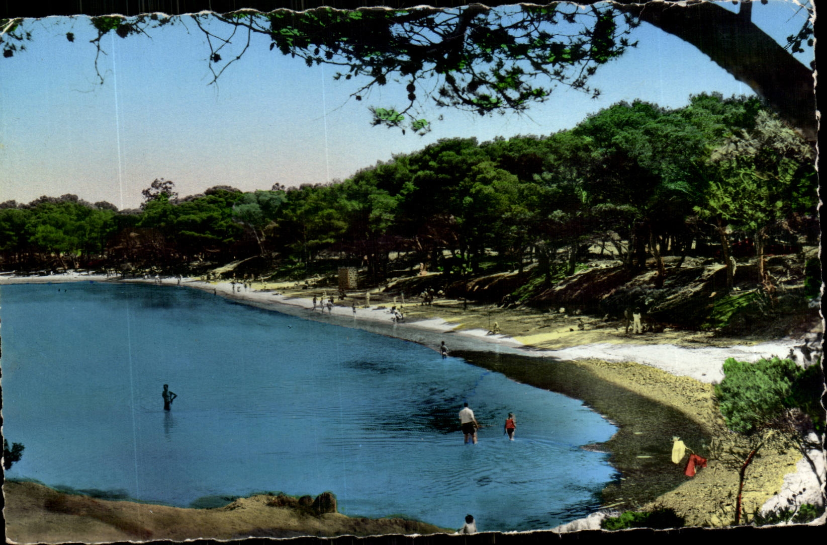 Ile de Porquerolles CPA La plage d'argent