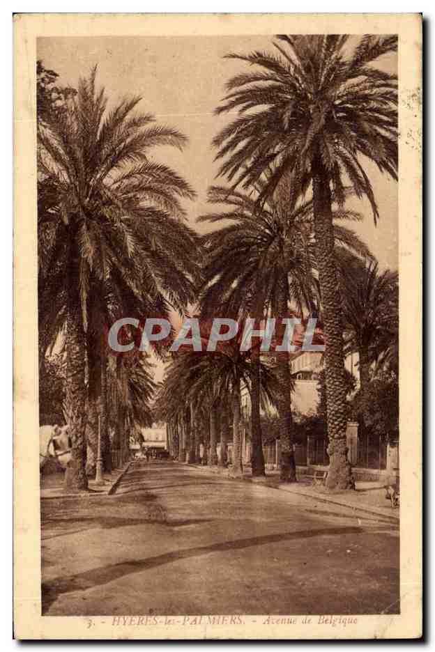 Hyeres les palmiers CPA Avenue de Belgique 