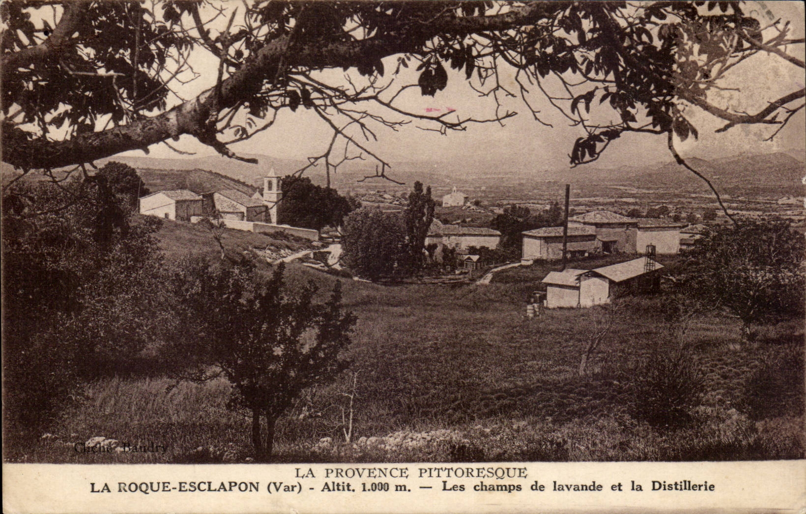 La Roque Esclapon CPA Les champs de lavande et la distillerie