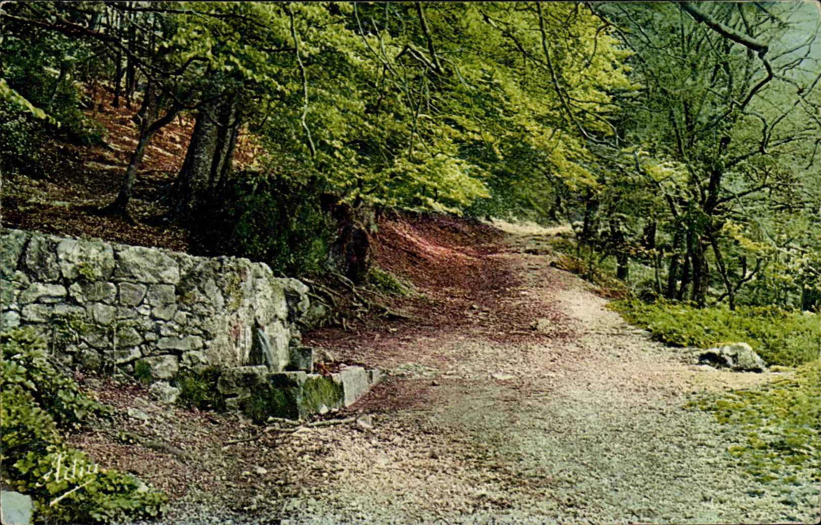 La Fontaine de Nans — La Sainte-Baume — Éditions Levy et Neurdein, Nice