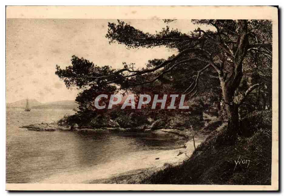 Les iles d'Hyeres CPA Porquerolles La plage d'argent