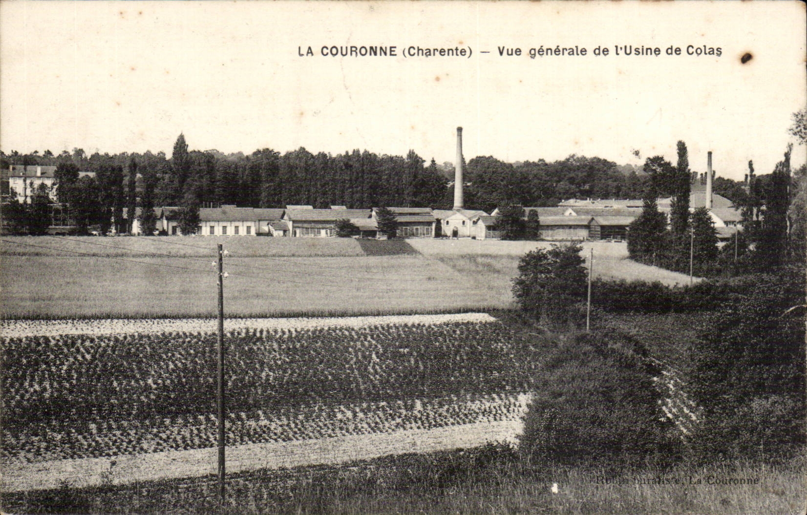 La Couronne - Vue Generale de l'Usine de Colas CPA 