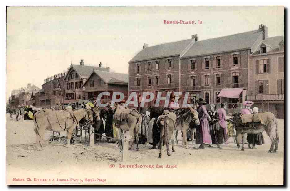 Berck Plage - Le Rendez Vous des Anes - Donkey - CPA 