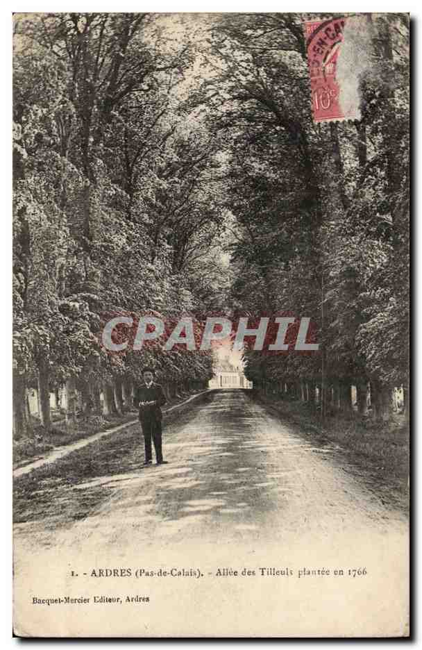 Ardres - Allee des Tilleuls - plantee en 1766l - CPA 