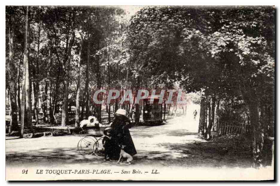 Le Touquet Paris Plage - Sous Bois - velo - chien - dog - CPA 