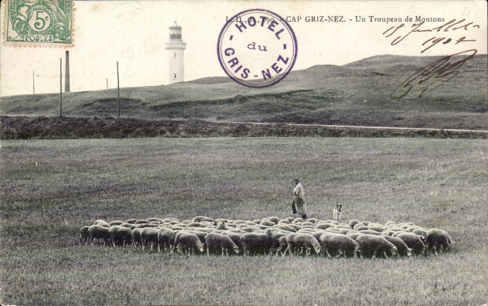 Cap Gris Nez - Un troupeau de Moutons - Sheep CPA Lighthouse