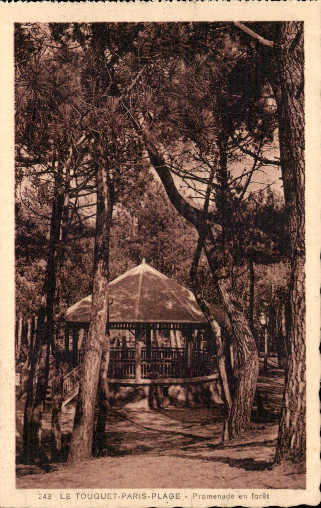Le Touquet-Paris-Plage - Promenade en forêt — Édition spéciale Paris