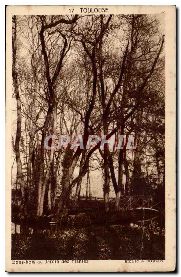 Toulouse - Sous bois au Jardin des Plantes - CPA 