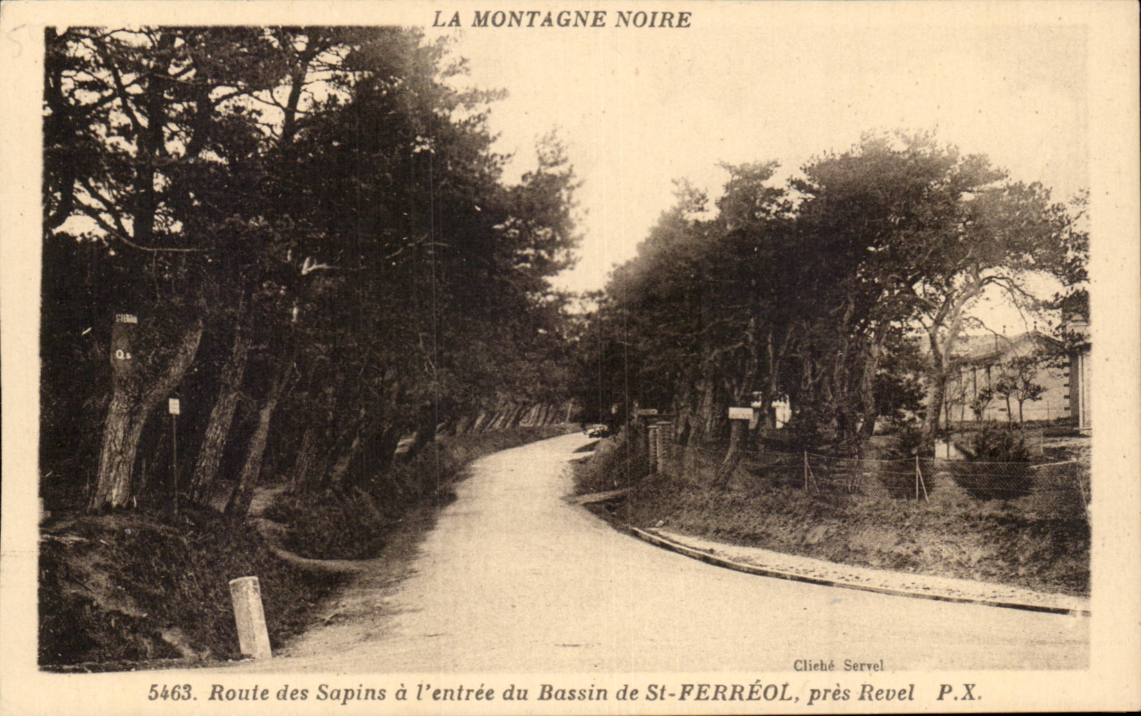 Route des Sapins à l'entrée du Bassin de St-Ferréol, près Revel — La Montagne Noire — Cliche Servel P.X. n°5463