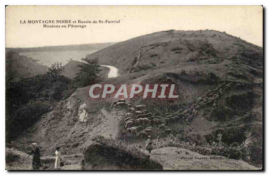 La Montagne Noire et Bassin de St-Ferréol — Moutons au Pâturage — Perrat-Sagnes, Éditeur, Châlons