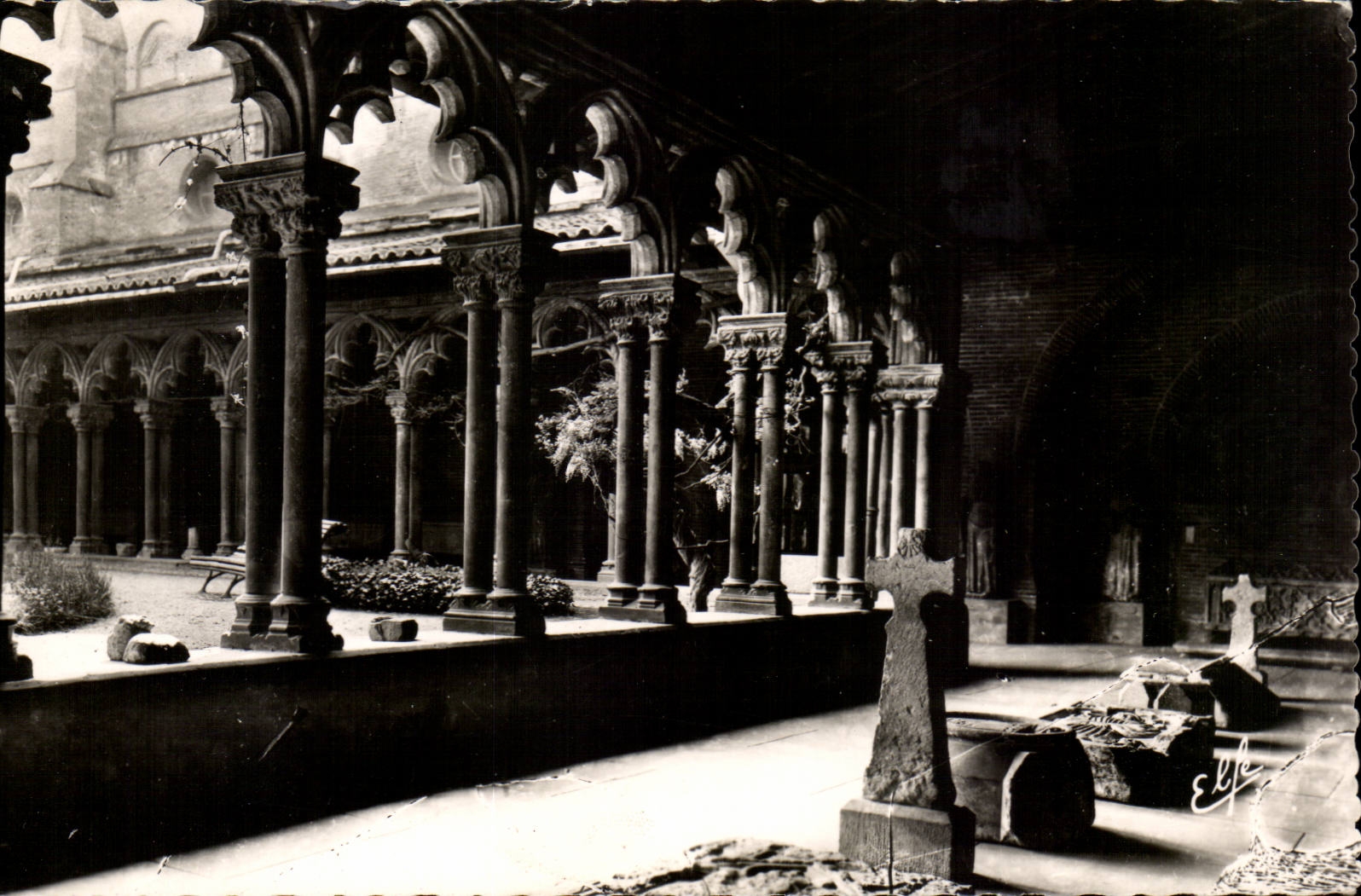 Toulouse - Musee des Augustins - Le Cloitre - CPA 