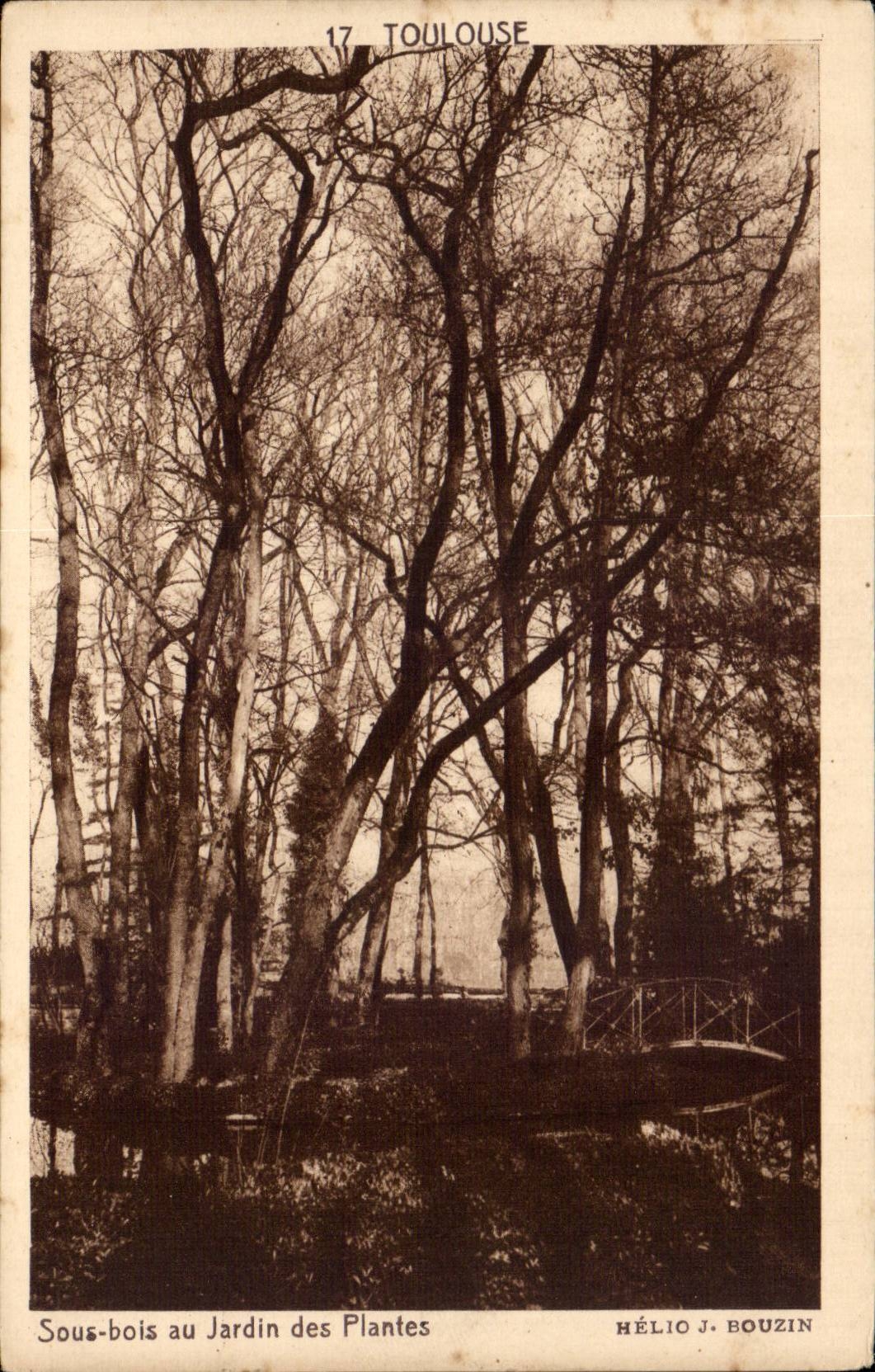 Sous-bois au Jardin des Plantes — Toulouse — Hélio J. Bouzin, n°17