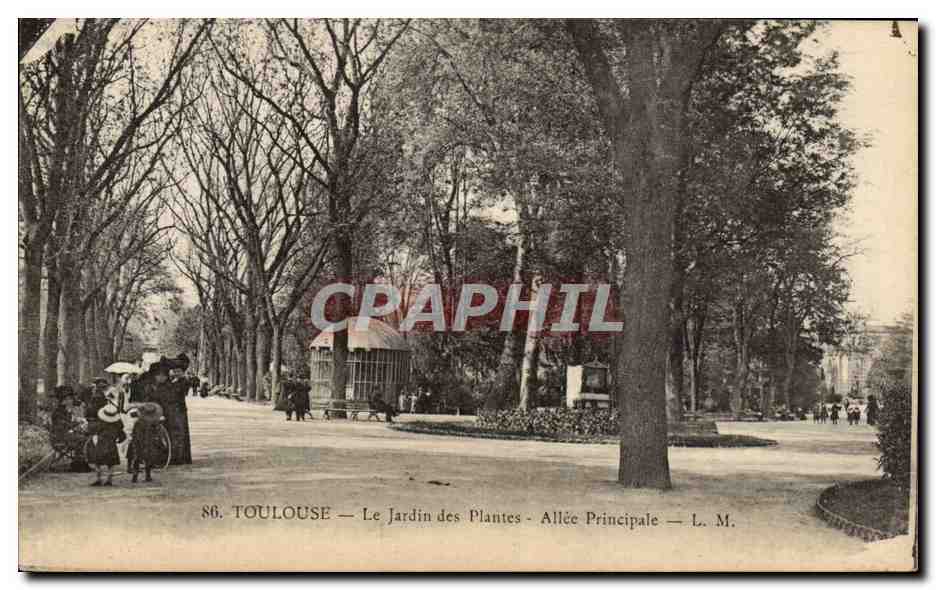 Toulouse — Le Jardin des Plantes — Allée Principale — L. M. — n°86