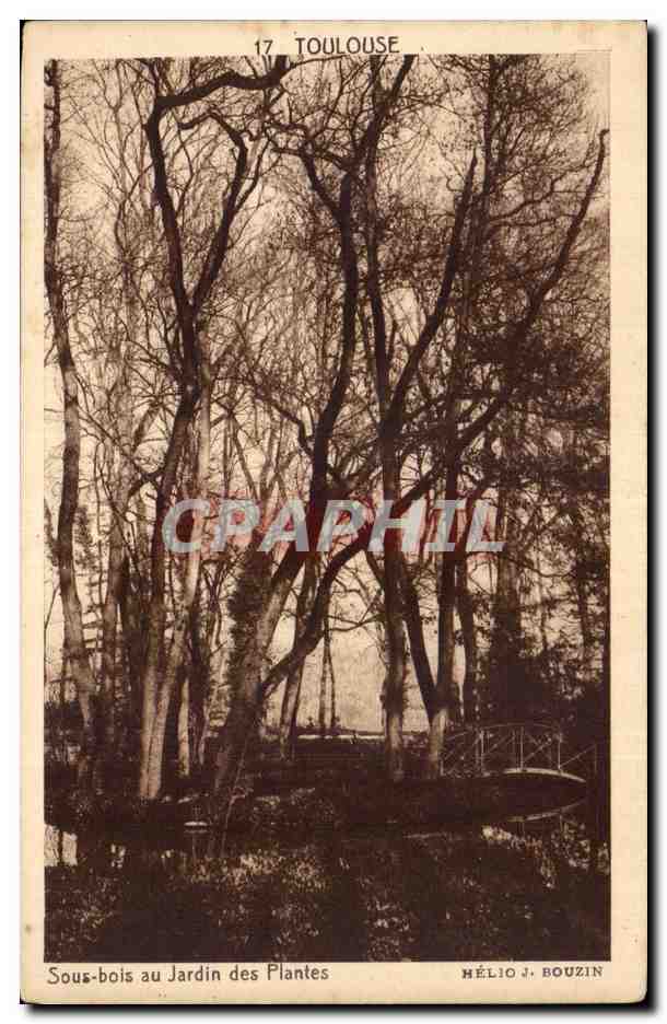 Sous-bois au Jardin des Plantes — Toulouse — Hélío J. Bouzin, n°17